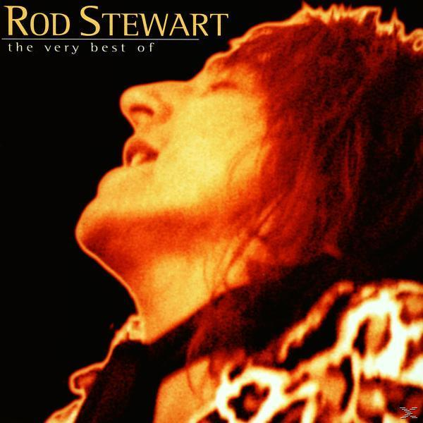 Pochette d'album de Rod Stewart, regardant vers le haut avec les cheveux roux, sur fond noir, avec le titre en haut.