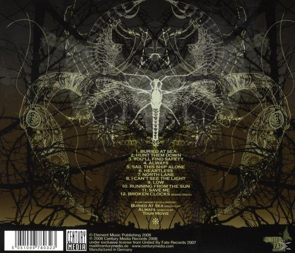 Albumcover mit insektenartigem Artwork. Titel: Broken Clocks. Dunkler Hintergrund mit Ästen.