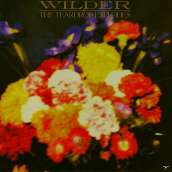 Albumcover, ein Blumenstrauß. Blumen in verschiedenen Farben vor dunklem Hintergrund.