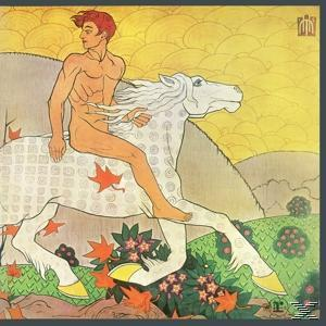 Nackter Mann reitet auf weißem Pferd, gelber Himmel, grüner Boden mit Blumen und orangefarbenen Blättern. Bunte Kunst.