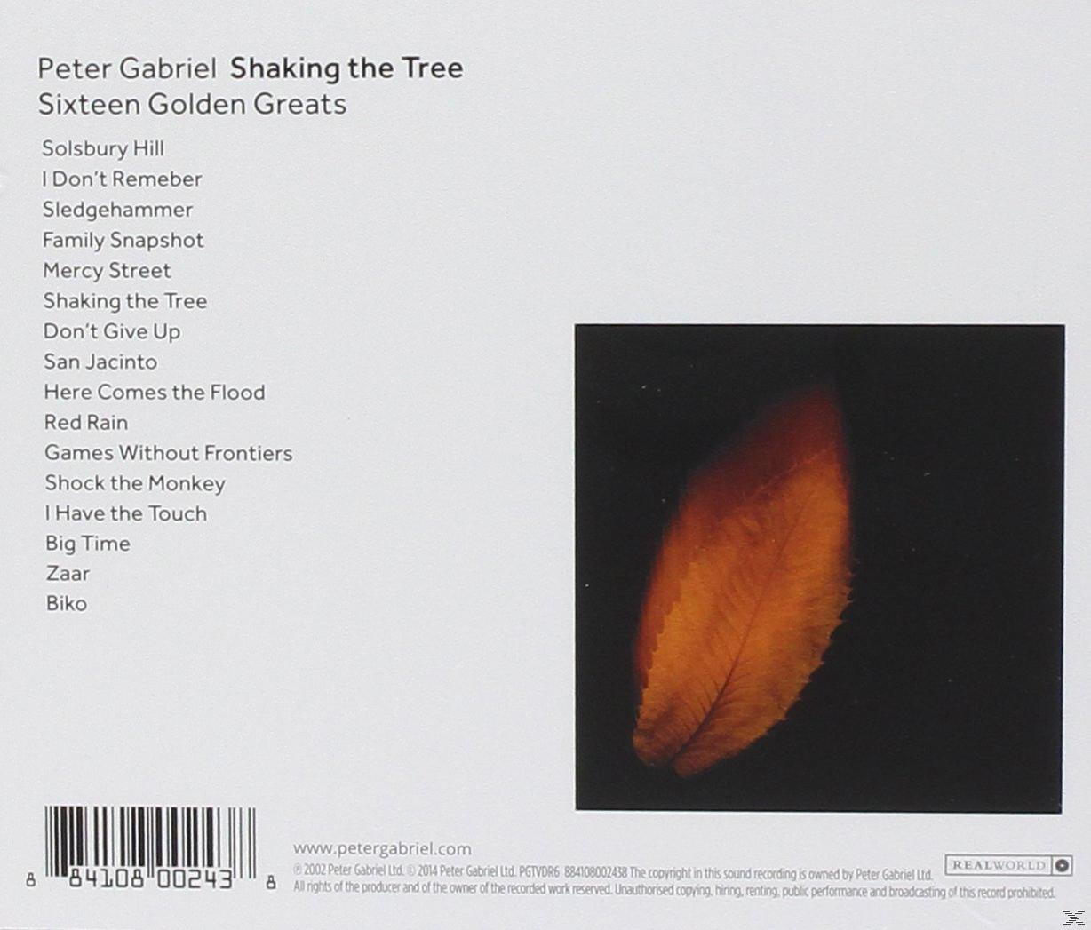 Die Rückseite einer Peter Gabriel CD mit Titelliste und orangefarbenem Blatt.