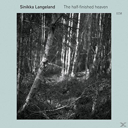 Schwarz-Weiß-Bild eines Waldes, mit einer Birke in der Mitte. Albumcover mit Text oben.