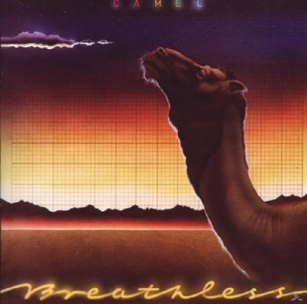 Camel Albumcover mit einem Kamel, das einen Sonnenuntergang betrachtet.