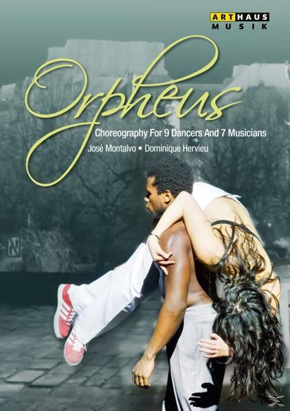Orpheus - Montalvo;Dominique Hervieu;Theatre (DVD) Chaillot - De National José