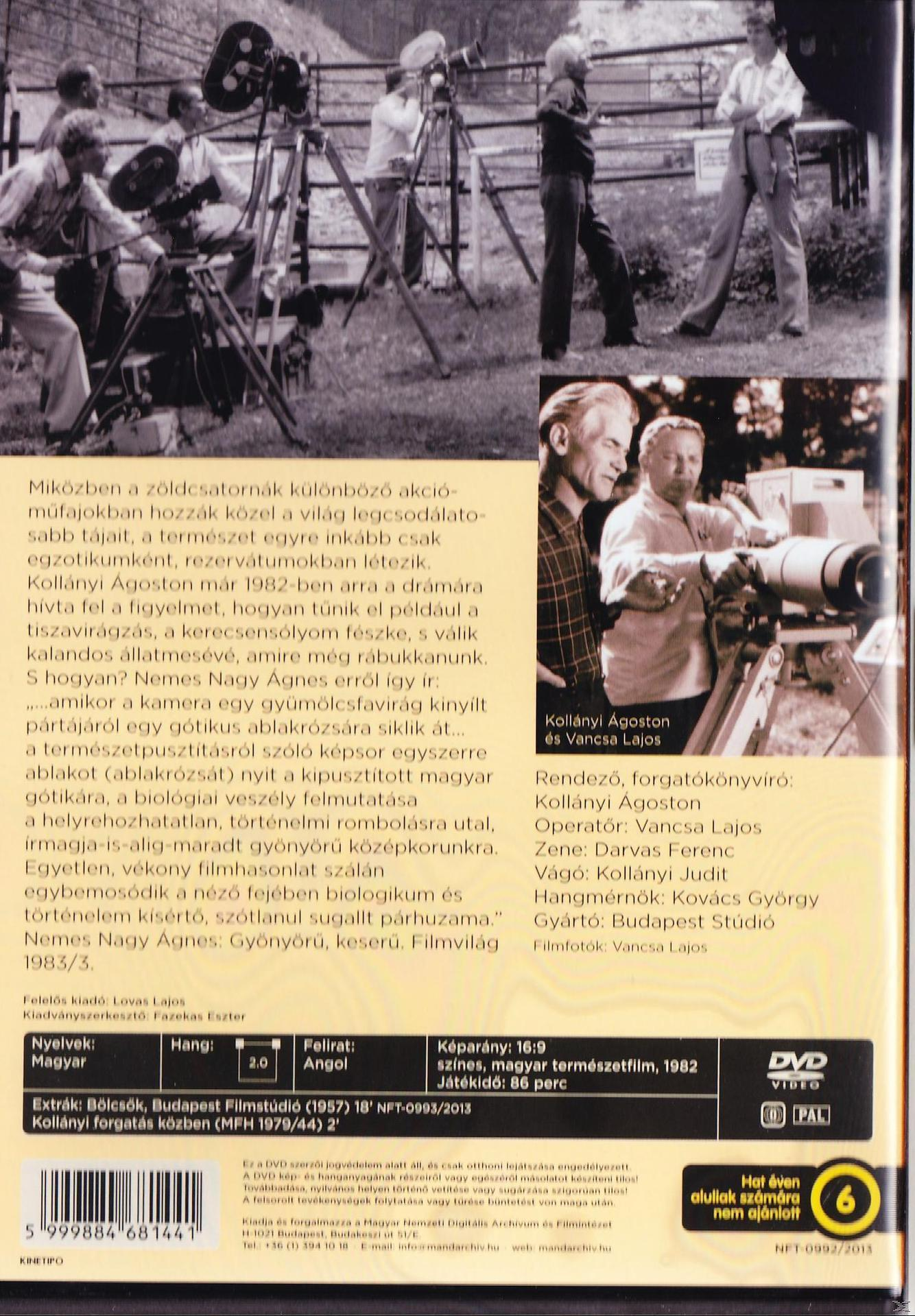 Tajtékos napok (DVD)