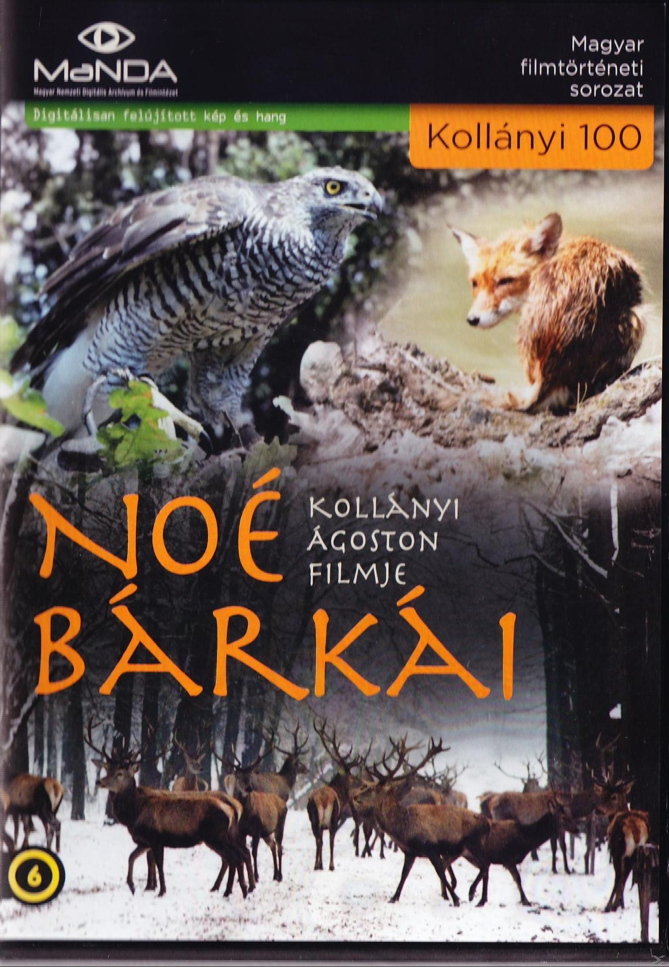 Tajtékos napok (DVD)