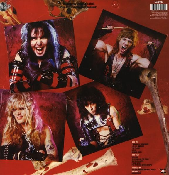Album-Rückseite mit vier Bandmitgliedern, Knochen und Text. Roter Hintergrund.