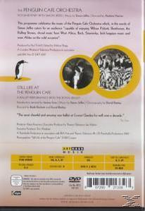 Penguin Cafe Orchestra - Still Life At The Penguin Cafe  - (DVD)