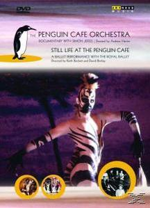 Penguin Cafe Orchestra - Still Life At The Penguin Cafe  - (DVD)