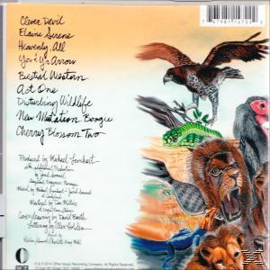Invisible Familiars - Disturbing Wildlife  - (CD)