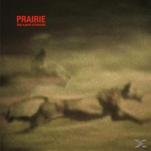 - Hounds (LP Prairie Of A + - Like Download) Pack