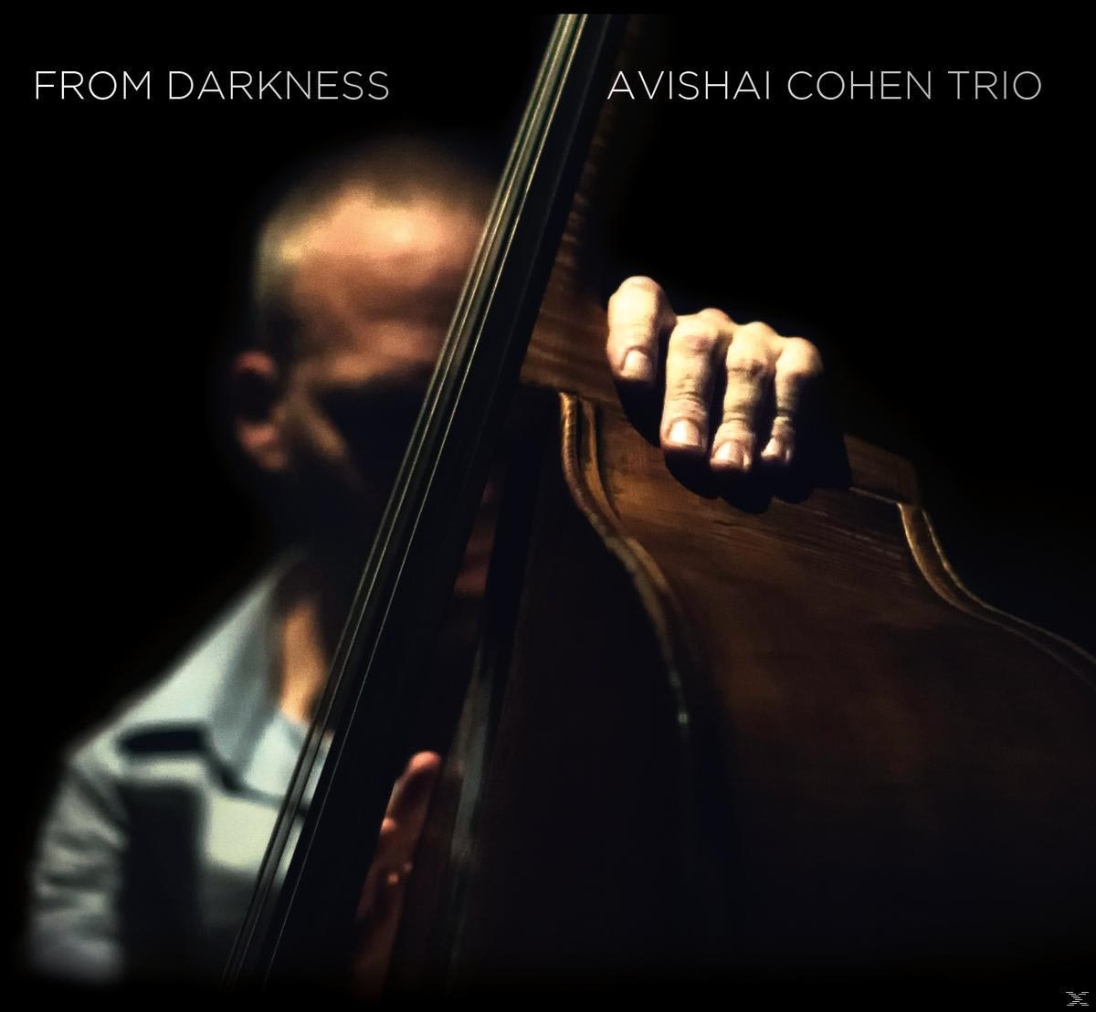 Férfi nagybőgőt tart. Szöveg: "From Darkness" és "Avishai Cohen Trio".