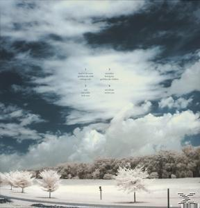 Himmel mit Wolken, Bäume mit weißen Blättern, eine Straße und Text links.