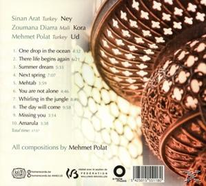 Mehmet Polat Trio - Next Spring  - (CD)