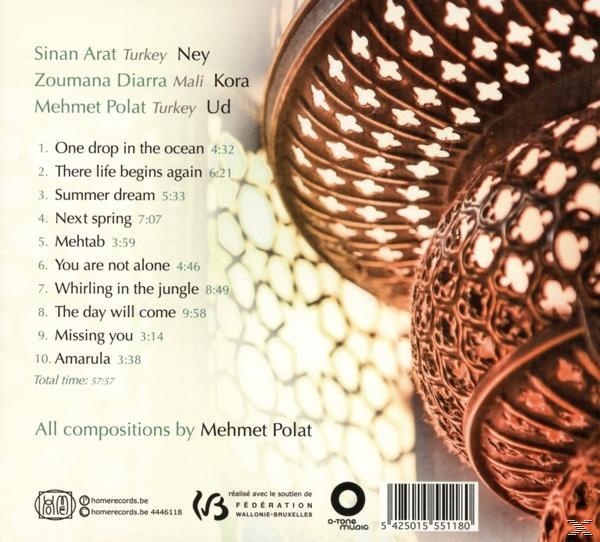 Mehmet Polat Trio - Next Spring  - (CD)
