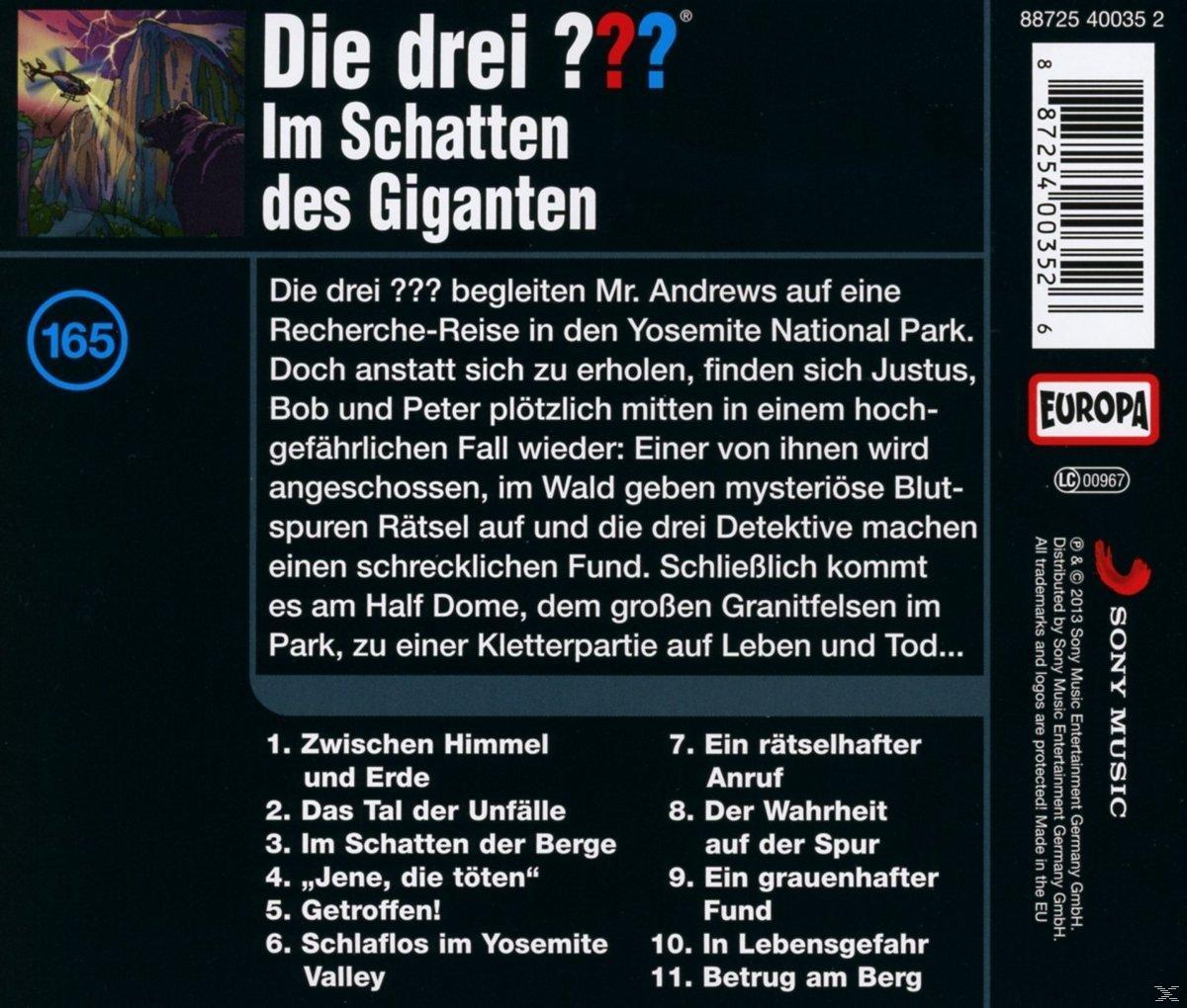 Cover für das Buch 'Die drei ???'. Text auf dunklem Hintergrund, mit einem Bild von einer Klippe.