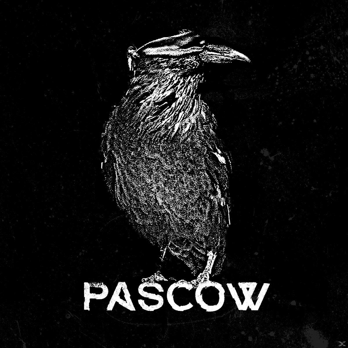Schwarz-Weiß-Bild eines Raben. Das Wort 'PASCOW' steht unter dem Vogel.