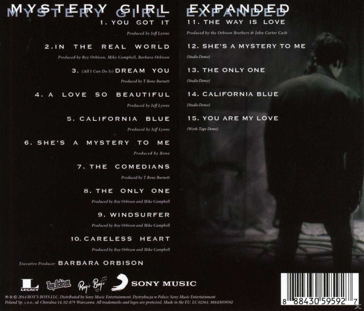 Rückseite eines Albums. Text, der Songs auflistet. Eine Silhouette eines Mannes ist im Hintergrund.