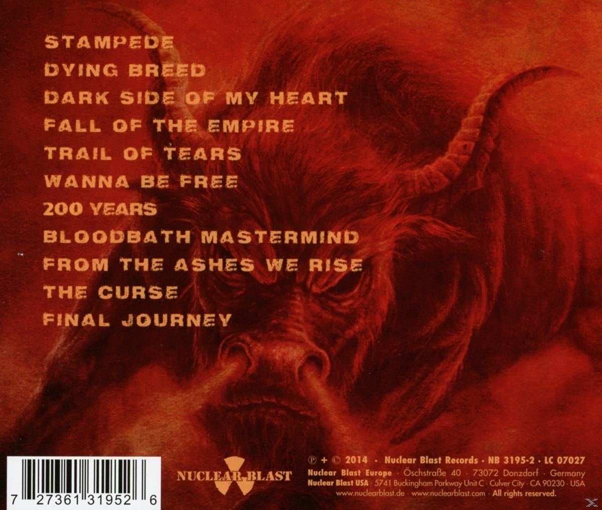 Album-Rückseite mit Titelliste, roter Bullenillustration und Text mit Grunge-Textur.