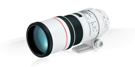 ＥＦ３００ｍｍ　Ｆ４Ｌ　ＩＳ　ＵＳＭ CANON EF 300mm f/4L IS USM Lens Fiyat & Özellik | MediaMarkt