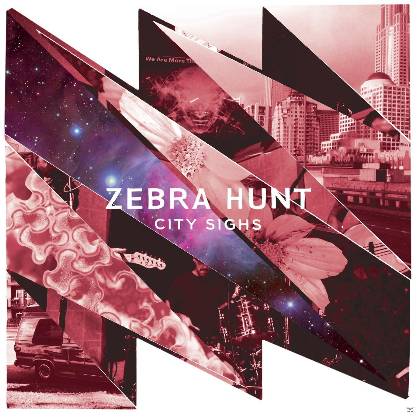 Zebra Hunt City - Sights - (Vinyl)