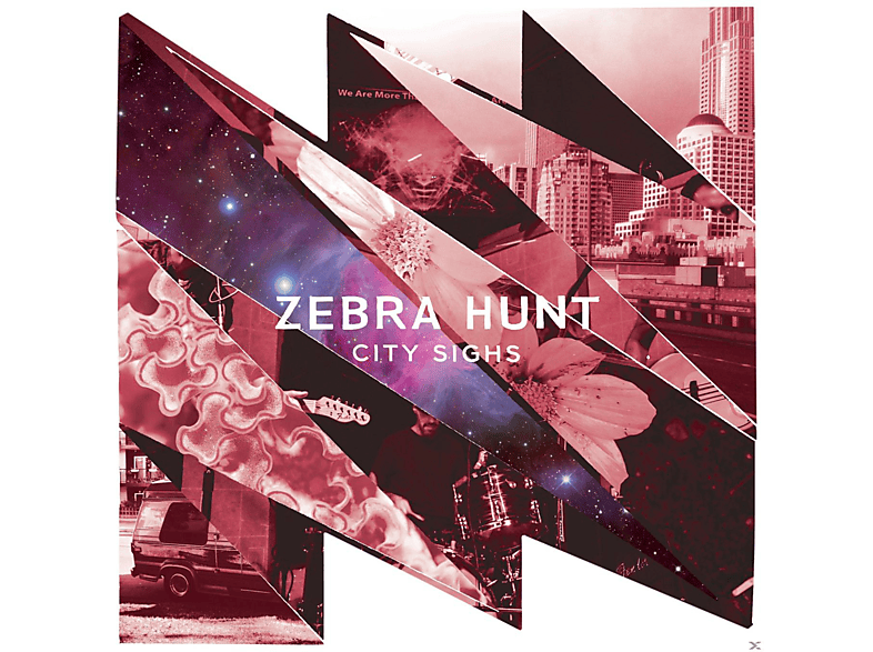 Zebra Hunt City - Sights - (Vinyl)