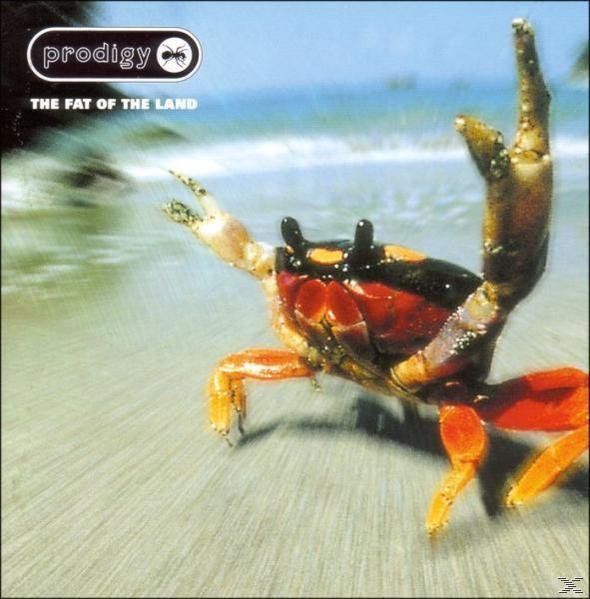 Albumcover mit einer Krabbe am Strand, mit dem Text 'The Fat of the Land'.