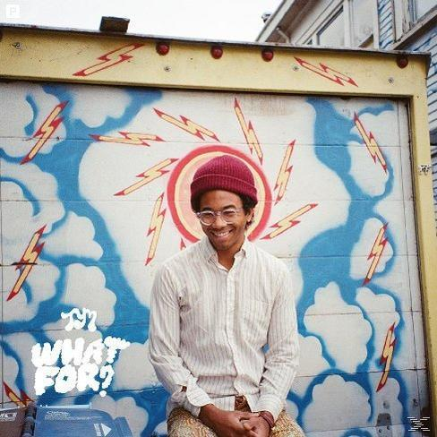 Toro Y Moi - What For?  - (CD)
