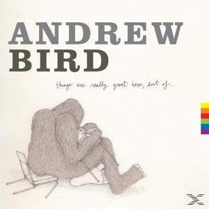 Bird Andrew - Things Are Really Great Here, Sort Of  - (CD)