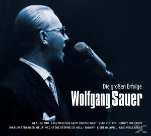 Wolfgang Sauer - Die großen Erfolge  - (CD)