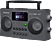 SANGEAN WFR-29 C - Digitalradio (DAB+, Grau)