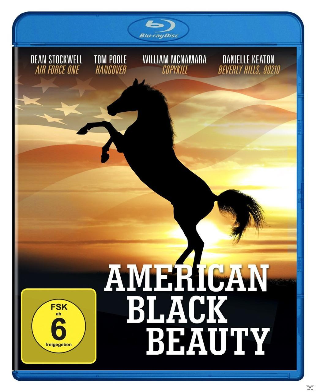 American Black Beauty Blu-ray