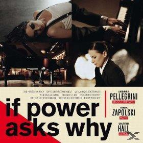 VARIOUS - If Power Asks Why  - (CD)