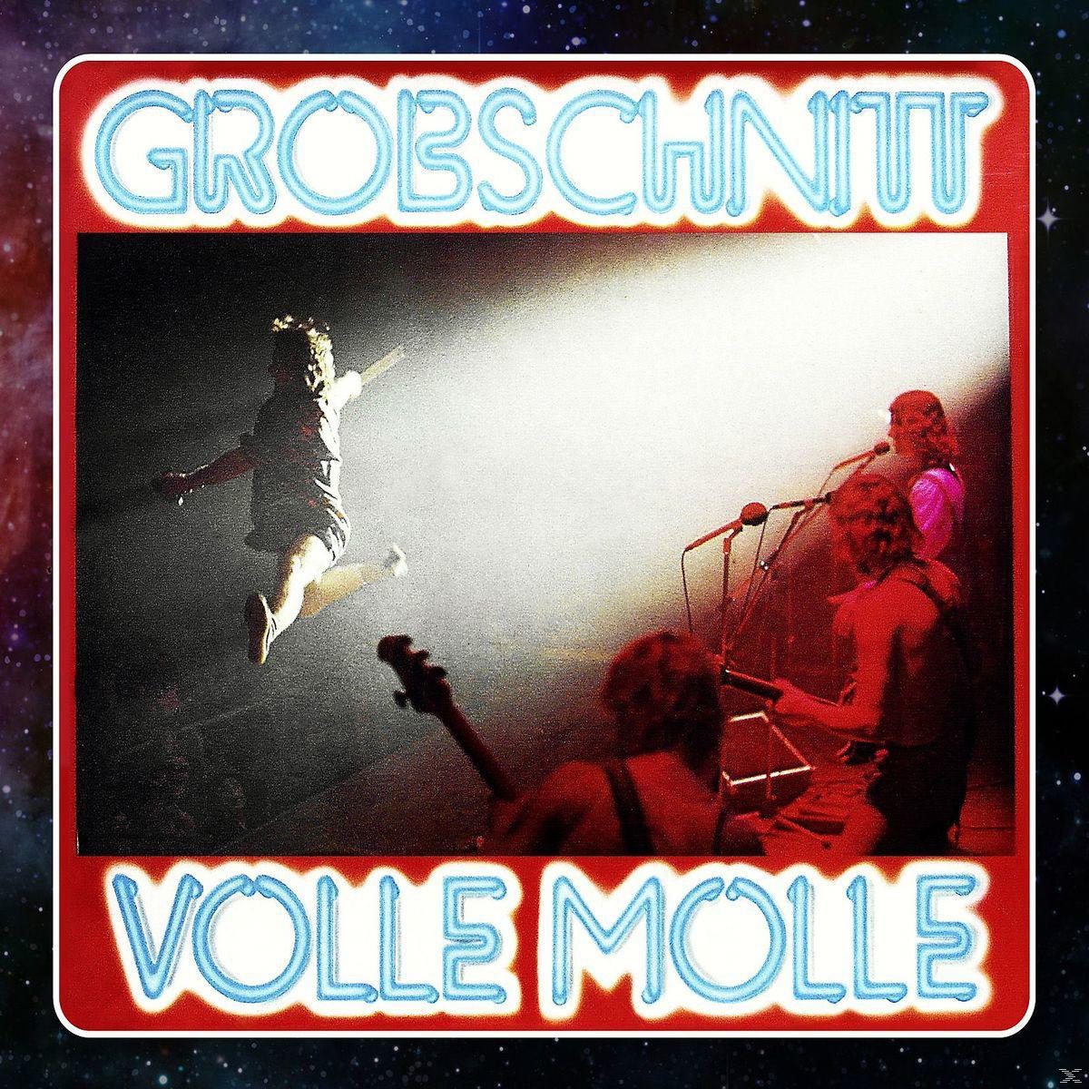 Band auf der Bühne, eine Person springt, Neon Grobschnitt und Volle Molle Text.
