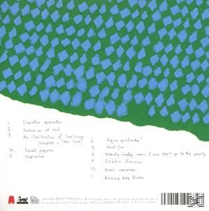 Courtney Barnett - Sometimes I Sit And Think, And Sometimes...(Digi)  - (CD)