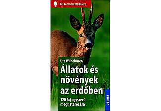 Ute Wilhelmsen - Állatok és növények az erdőben - 120 faj egyszerű meghatározása