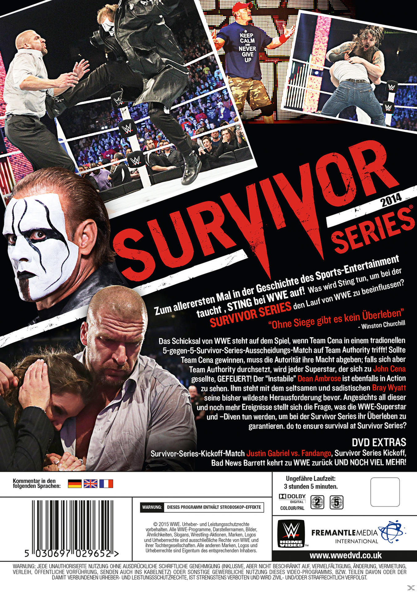 WWE Survivor Series DVD-Cover. Wrestler in Aktion, mit Text und dem Survivor Series-Logo.