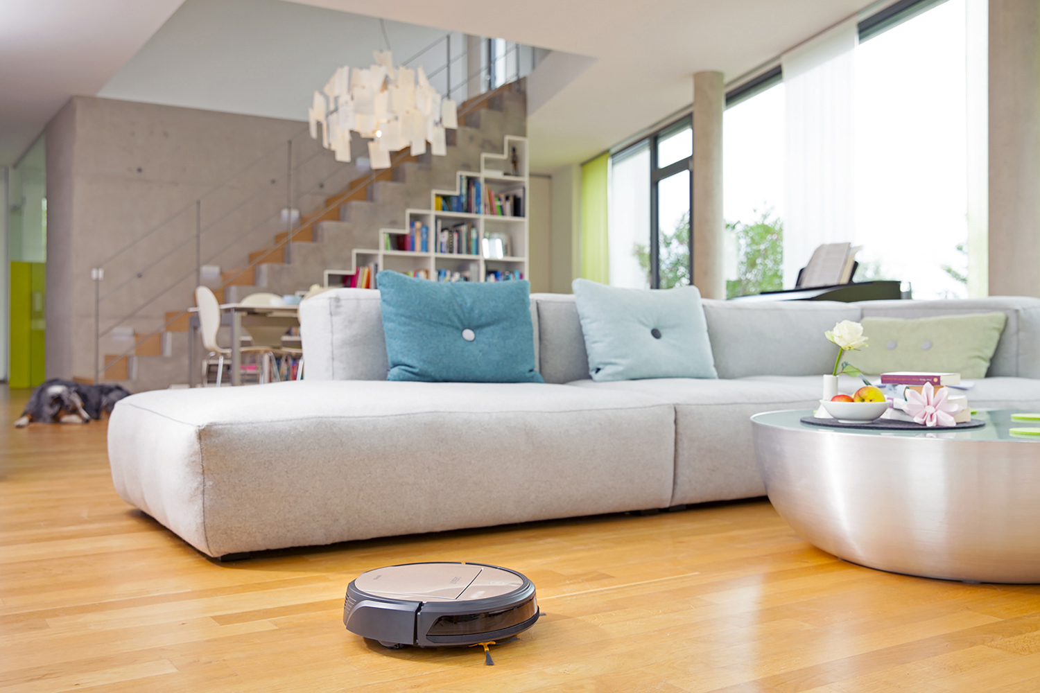 ECOVACS D83 DEEBOT Saugroboter