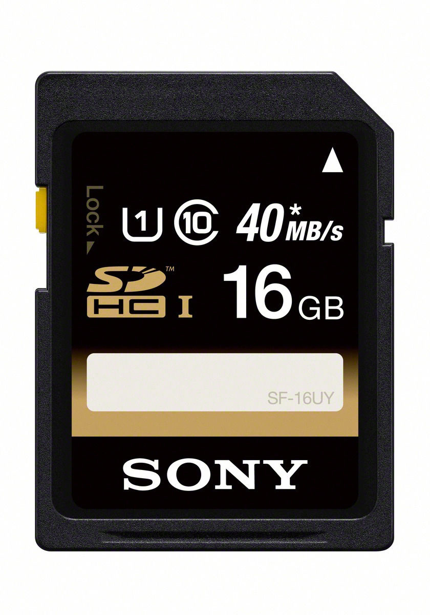 SONY Alpha 6000 KIT (ILCE-6000L) + Tasche + Speicherkarte Systemkamera mit Objektiv 16-50 mm, 7,6 cm Display, WLAN