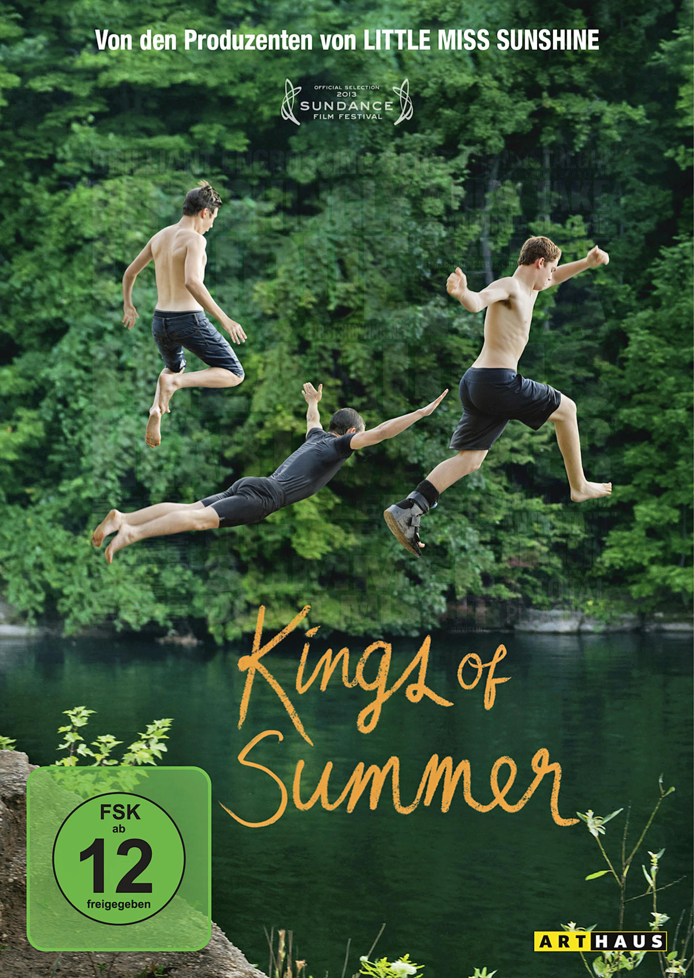 Kings of Summer DVD