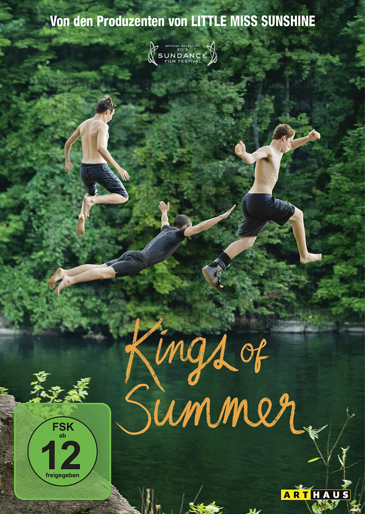 DVD-Cover zeigt drei junge Männer, die in einen See springen. Der Titel ist Kings of Summer.
