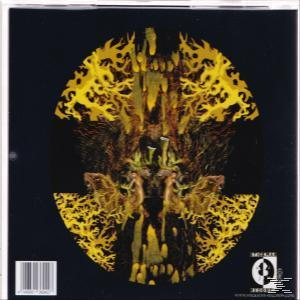 Elder - Lore  - (CD)