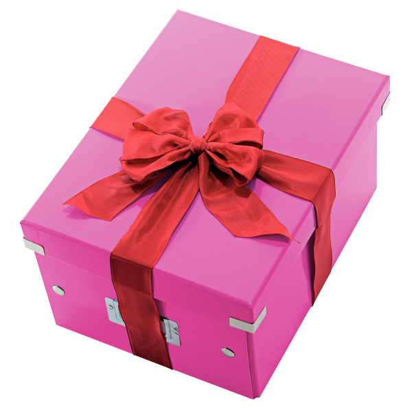LEITZ 6044-00-23 CLICKSTORE Aufbewahrungs- und Transportbox mittel Aufbewahrungsbox Pink