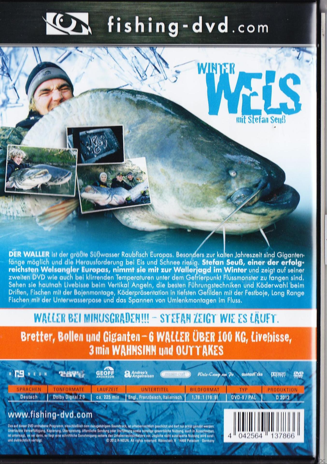 WINTER WELS DVD