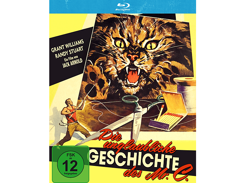 Die unglaubliche Geschichte des Mr. C Blu-ray (FSK: 12)