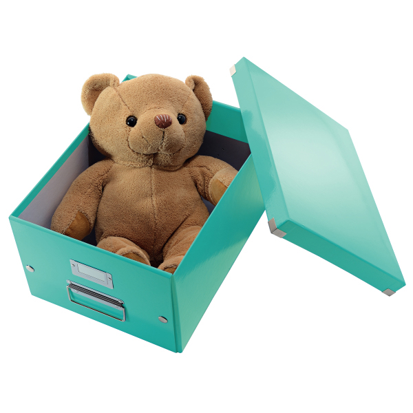 LEITZ 6044-00-51 CLICK&STORE Aufbewahrungs- und Transportbox mittel Ablage- und Transportbox