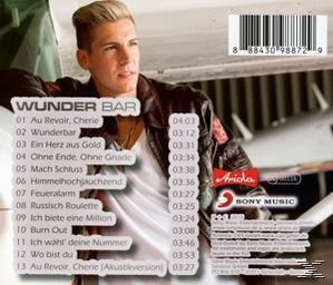 Albumcover mit einem Mann, der sich lehnt. Es hat eine Titelliste. Der Hintergrund ist ein weißes Flugzeug.