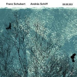 Albumcover mit schwarzen Bäumen und zwei Vögeln vor verschwommenem, strukturiertem, blauem Hintergrund.