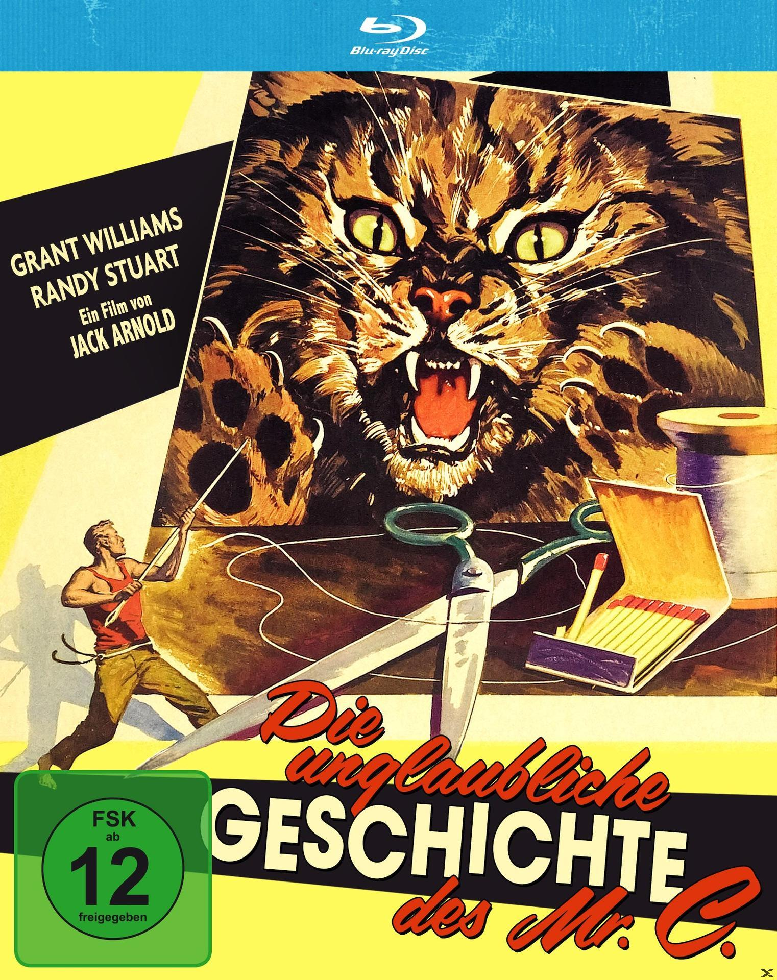 Filmposter mit Katzengesicht und Mann mit Seil. Schere, Streichhölzer und Text sind sichtbar.
