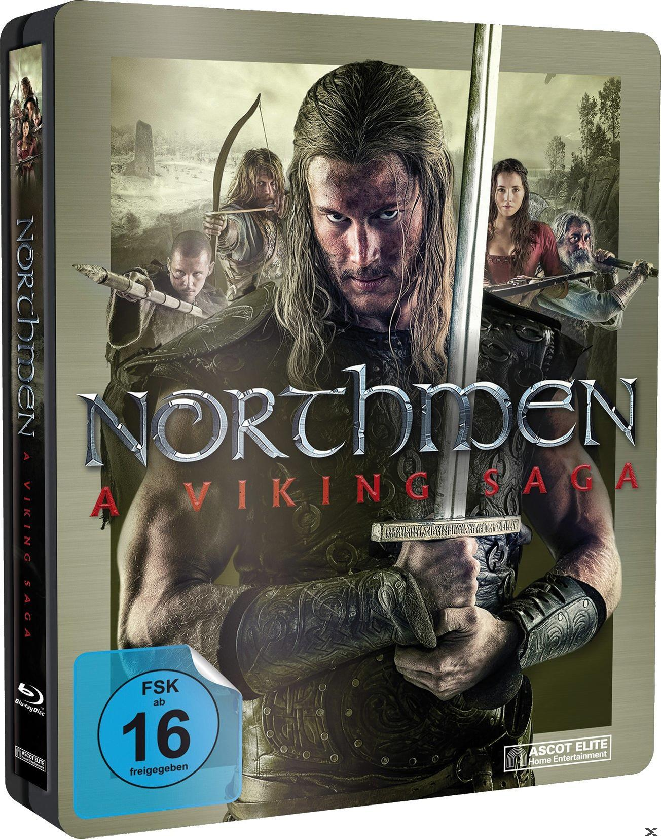 DVD-Cover: 'Northmen - A Viking Saga' mit einem Wikinger, der ein Schwert hält. FSK 16 Logo.
